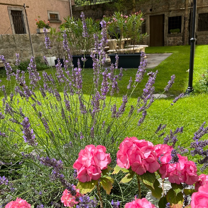 Ferienwohnung 5.5 Zi. Casa Restelli OG  Gurtnellen FEWOlution