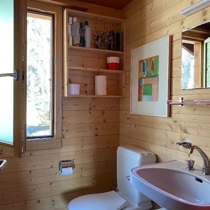 FEWOlution Ferienwohnung Chalet Franz Crans-Montana