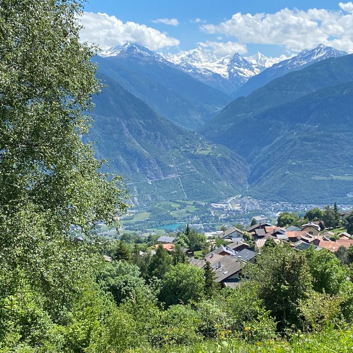 FEWOlution Ferienwohnung Chalet Franz Crans-Montana