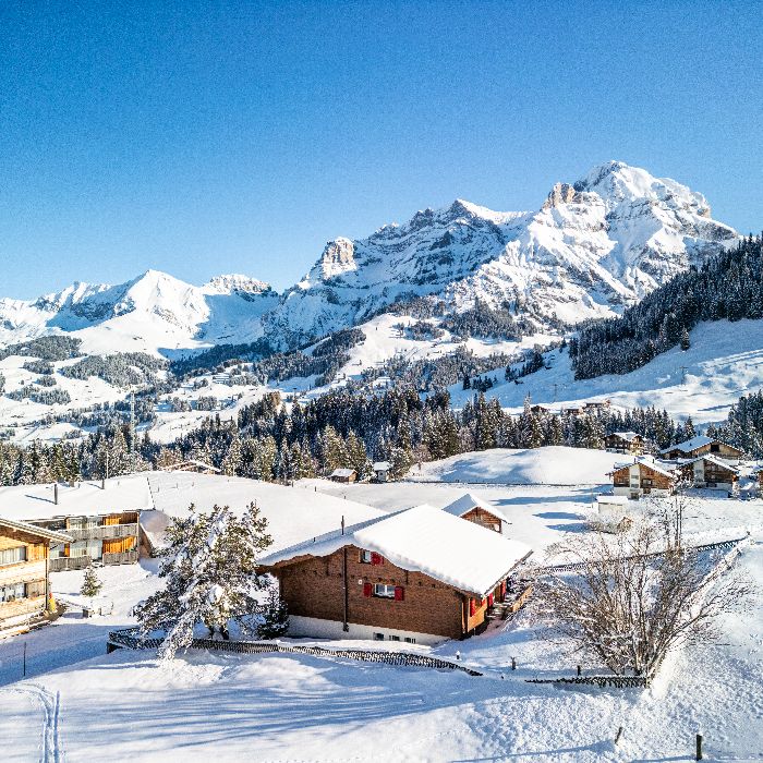 FEWOlution Ferienwohnung Chalet Fankhus Adelboden