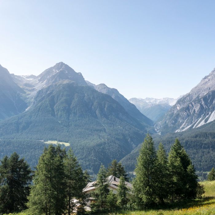 Ferienwohnung Bergchalet Flöna Scuol FEWOlution