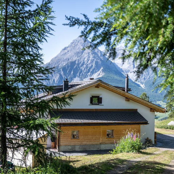 Ferienwohnung Bergchalet Flöna Scuol FEWOlution