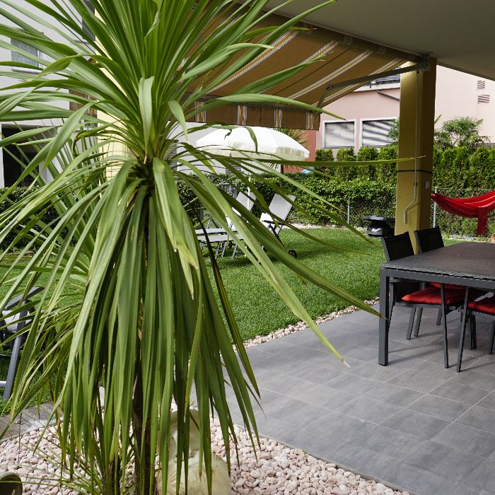 Ferienwohnung Residenza Faggi Ascona Locarno Losone FEWOlution