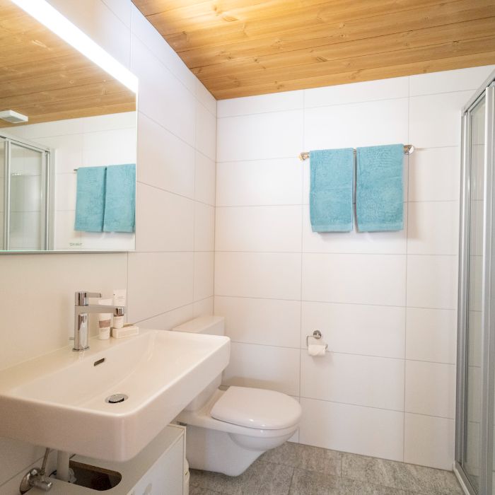 Ferienwohnung Chasa Sulai Sent FEWOlution