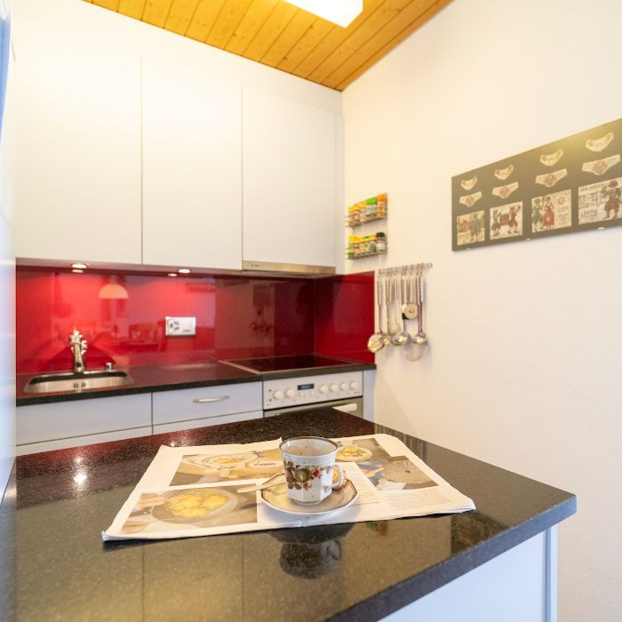 Ferienwohnung Chasa Trü Nr. 8 Scuol FEWOlution