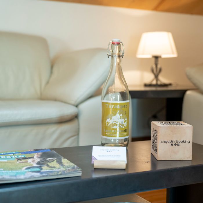 Ferienwohnung Chasa Bagnera 174 Scuol FEWOlution