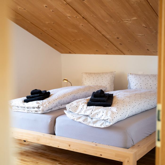 Ferienwohnung Chasa Bagnera 174 Scuol FEWOlution