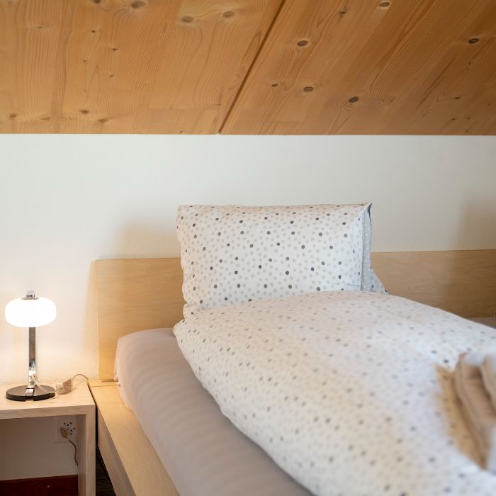 Ferienwohnung Chasa Bagnera 174 Scuol FEWOlution