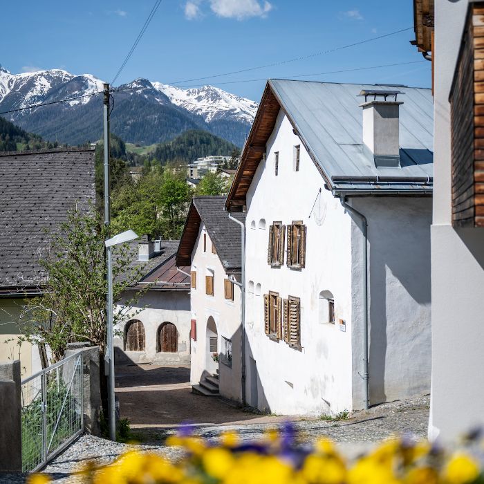 FEWOlution Ferienwohnung Chasa Engiadina EG Scuol