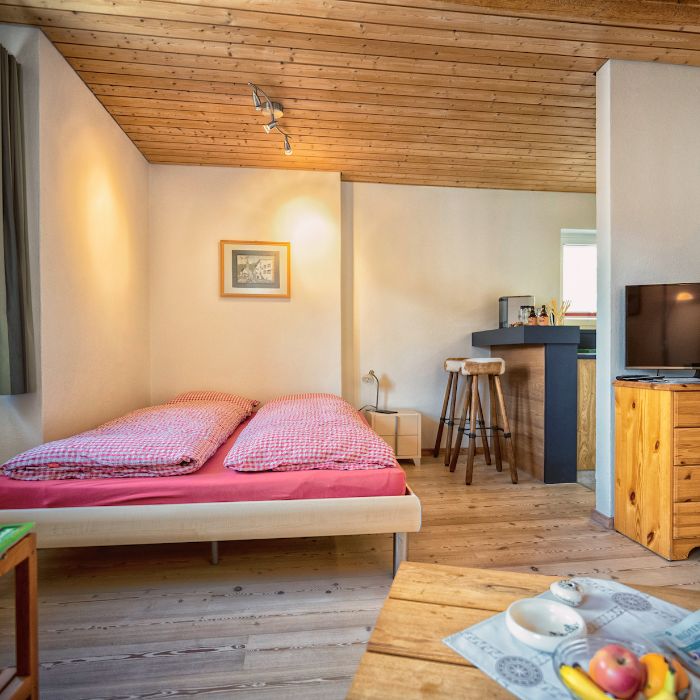 Ferienwohnung Chasa Gisep Studio Scuol FEWOlution
