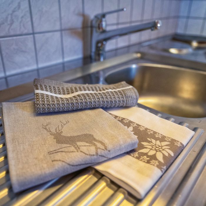 Ferienwohnung Chasa Gisep Studio Scuol FEWOlution