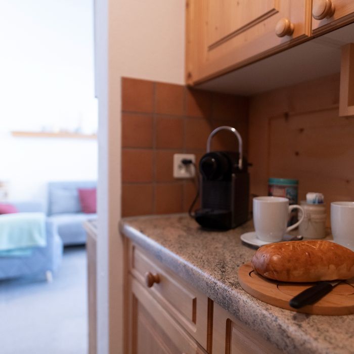 Ferienwohnung Chasa Grusaida Vulpera FEWOlution