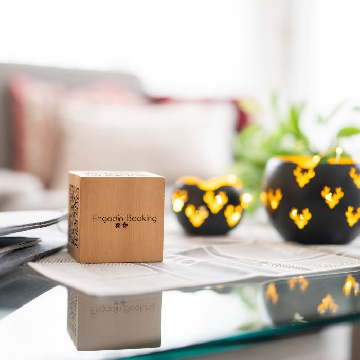 Ferienwohnung Brentschpark 13 Scuol FEWOlution