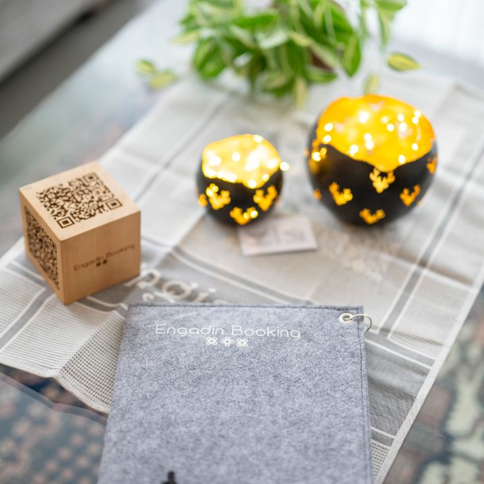 Ferienwohnung Brentschpark 13 Scuol FEWOlution