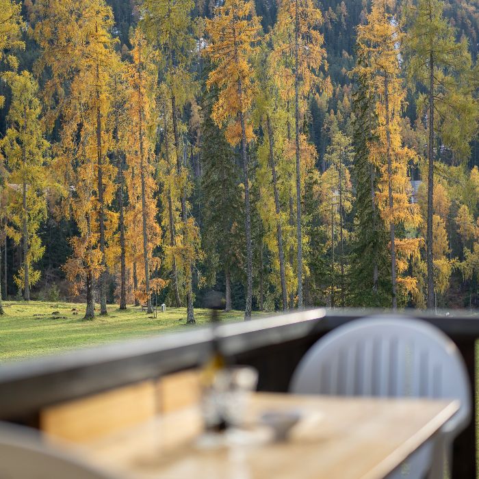 Ferienwohnung Brentschpark 96C Scuol FEWOlution