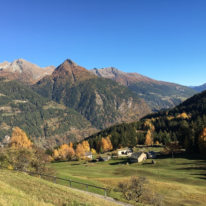 Ferienwohnung Casa Selva Poschiavo FEWOlution