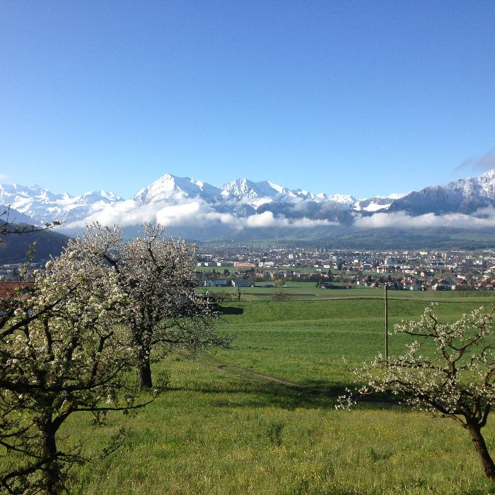 Ferienwohnung Ferienwohnung Zulg  Steffisburg FEWOlution