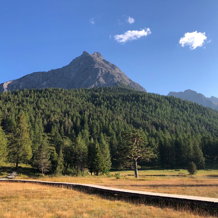 FEWOlution Ferienwohnung Haus Alpenrose Vulpera