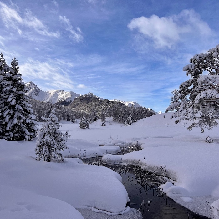 FEWOlution Ferienwohnung Haus Alpenrose Vulpera