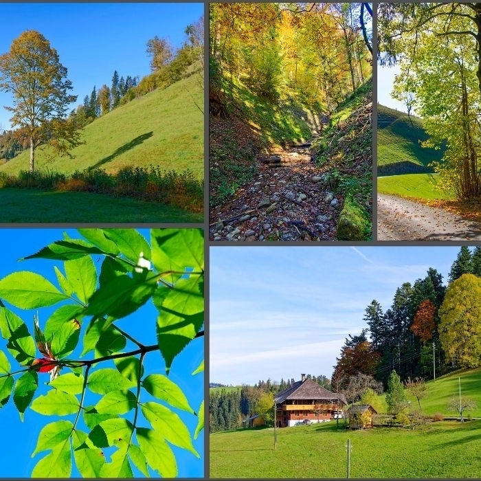 Ferienwohnung Emmental Ferien Bärau FEWOlution