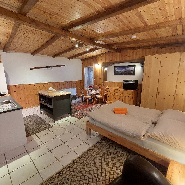 FEWOlution Ferienwohnung Le Chant du Torrent loft Haute-Nendaz