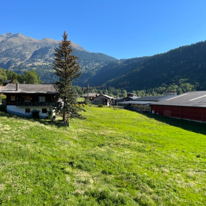 FEWOlution Ferienwohnung Casa del Sol  Fiesch