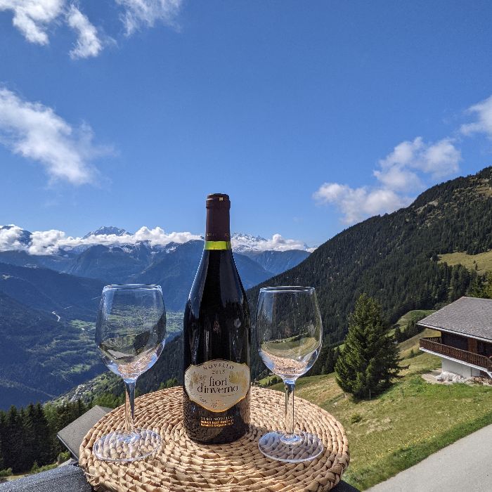 Ferienwohnung Chalet Talisman Riederalp Riederalp FEWOlution