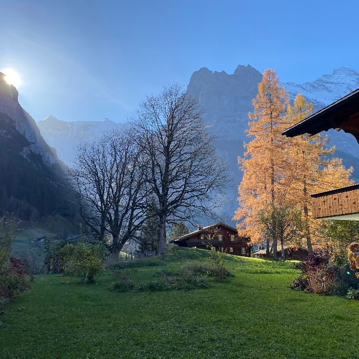 FEWOlution Ferienwohnung Studio Bergwohl Grindelwald