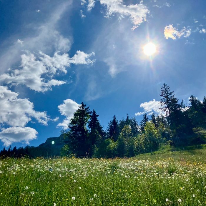 Ferienwohnung Elsigbach Lodge Achseten FEWOlution