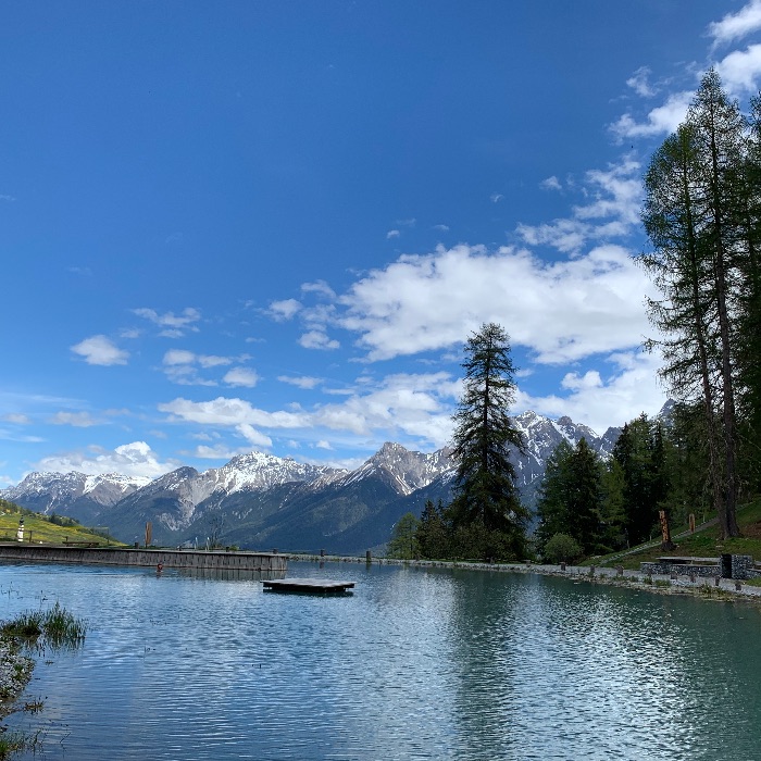 Ferienwohnung Chasa Minar Scuol FEWOlution