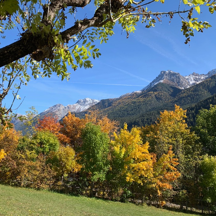Ferienwohnung Chasa Minar Scuol FEWOlution