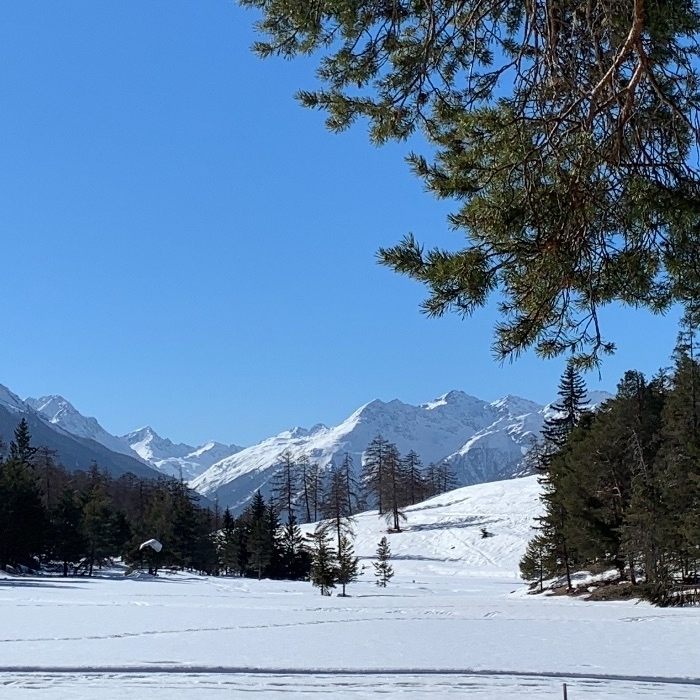 Ferienwohnung Chasa Minar Scuol FEWOlution