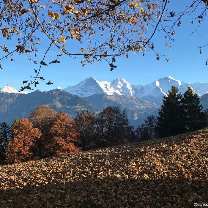 FEWOlution Ferienwohnung swissmountainview Beatenberg