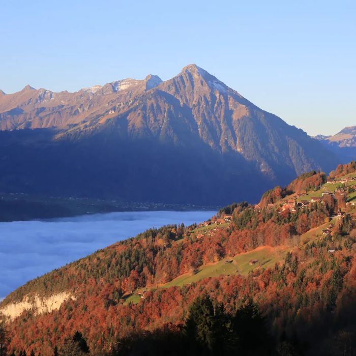 FEWOlution Ferienwohnung swissmountainview Beatenberg