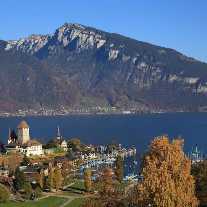 FEWOlution Ferienwohnung swissmountainview Beatenberg