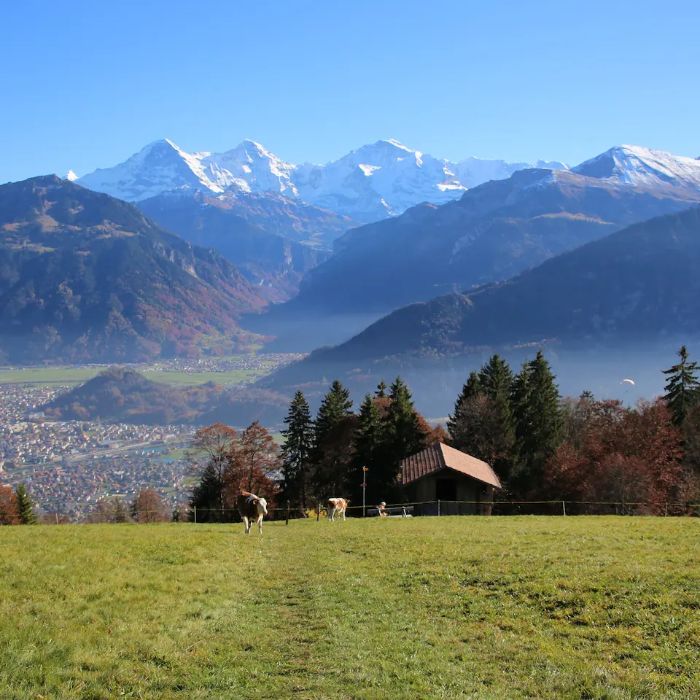 FEWOlution Ferienwohnung swissmountainview Beatenberg