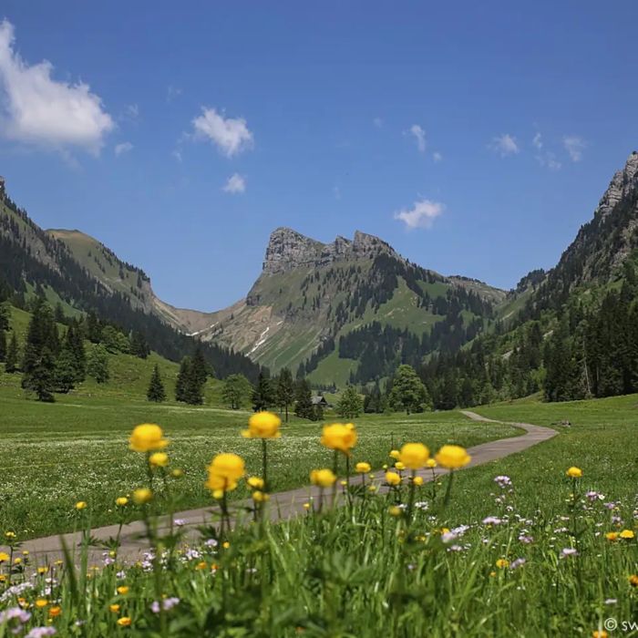 FEWOlution Ferienwohnung swissmountainview Beatenberg