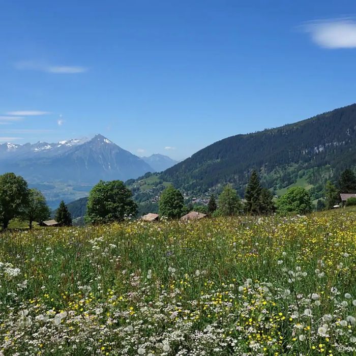 FEWOlution Ferienwohnung swissmountainview Beatenberg