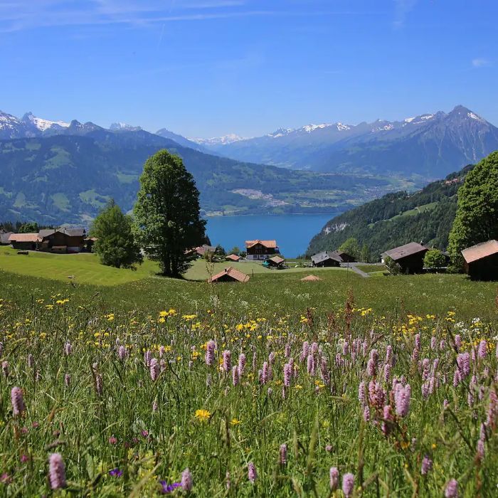 FEWOlution Ferienwohnung swissmountainview Beatenberg