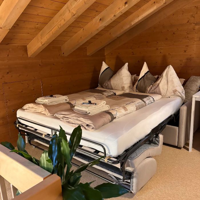 FEWOlution Ferienwohnung Chalet swisslakeview Tschingel ob Gunten