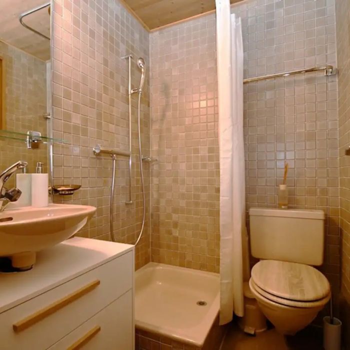 FEWOlution Ferienwohnung Chalet swisslakeview Tschingel ob Gunten