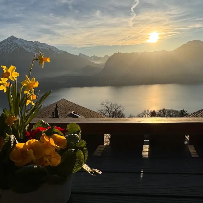 FEWOlution Ferienwohnung Chalet swisslakeview Tschingel ob Gunten