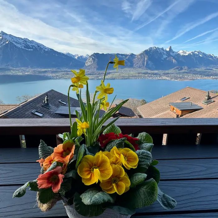FEWOlution Ferienwohnung Chalet swisslakeview Tschingel ob Gunten