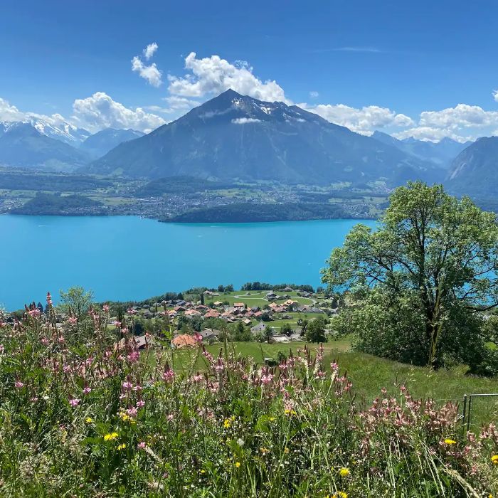 FEWOlution Ferienwohnung Chalet swisslakeview Tschingel ob Gunten