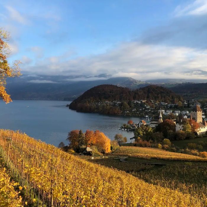 FEWOlution Ferienwohnung Chalet swisslakeview Tschingel ob Gunten