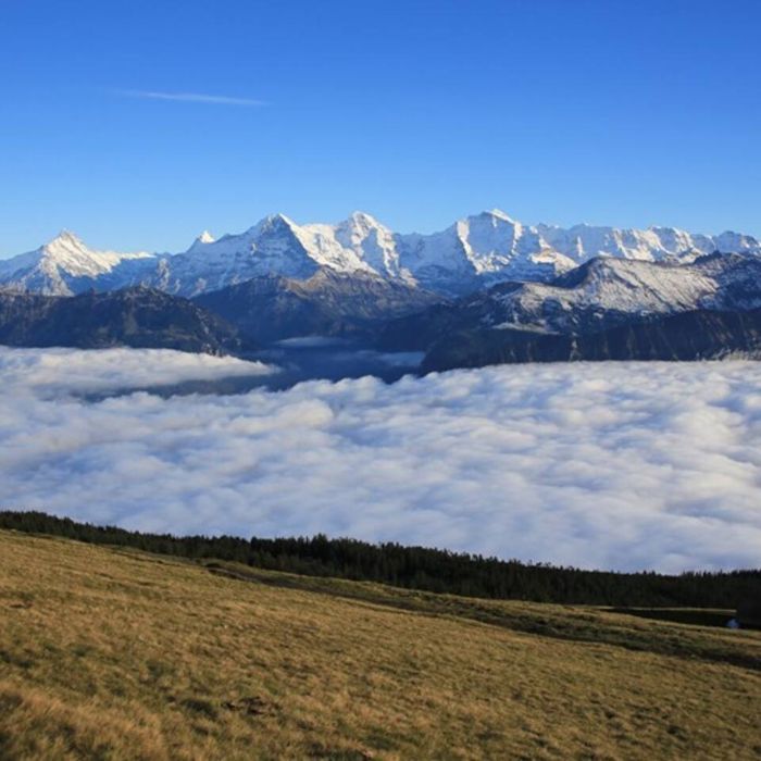 FEWOlution Ferienwohnung Chalet swisslakeview Tschingel ob Gunten
