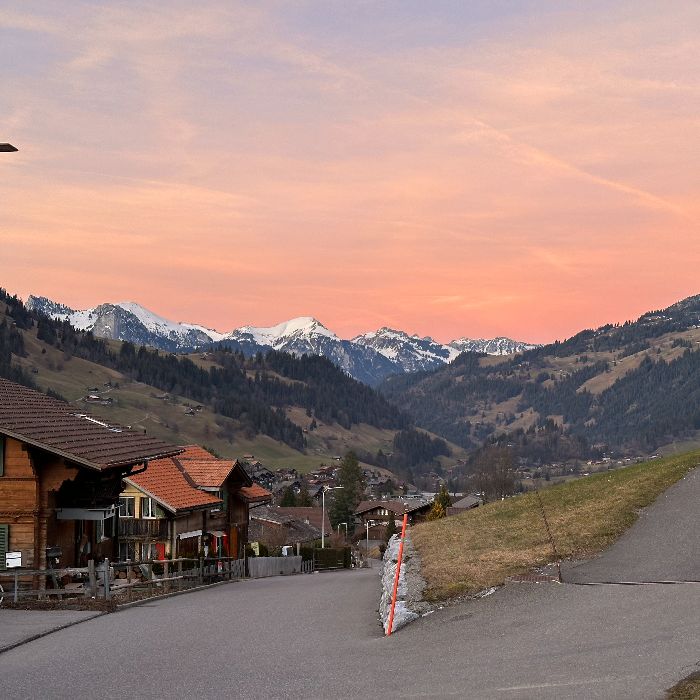 FEWOlution Ferienwohnung Chalet Finkenwiese, Apartment Zweisimmen