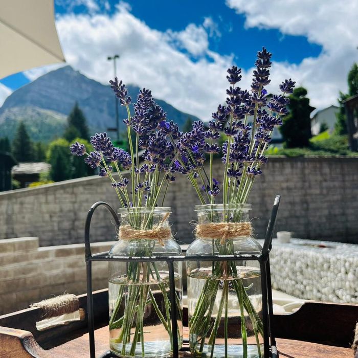 Ferienwohnung Mountain Village Sonnenwirbel Saas-Fee FEWOlution