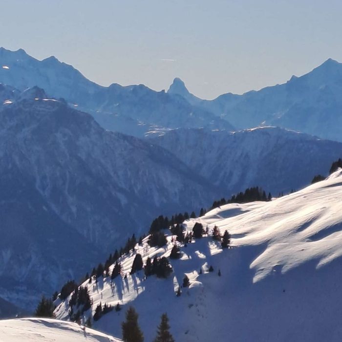 Ferienwohnung Mischabel Fiescheralp Aletsch Fiesch FEWOlution