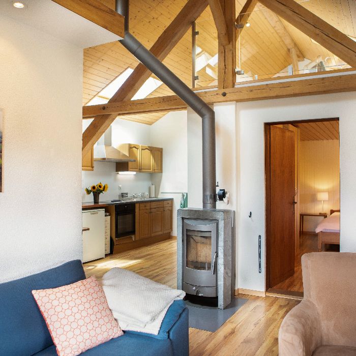 Ferienwohnung Guesthouse la Molière Murist FEWOlution